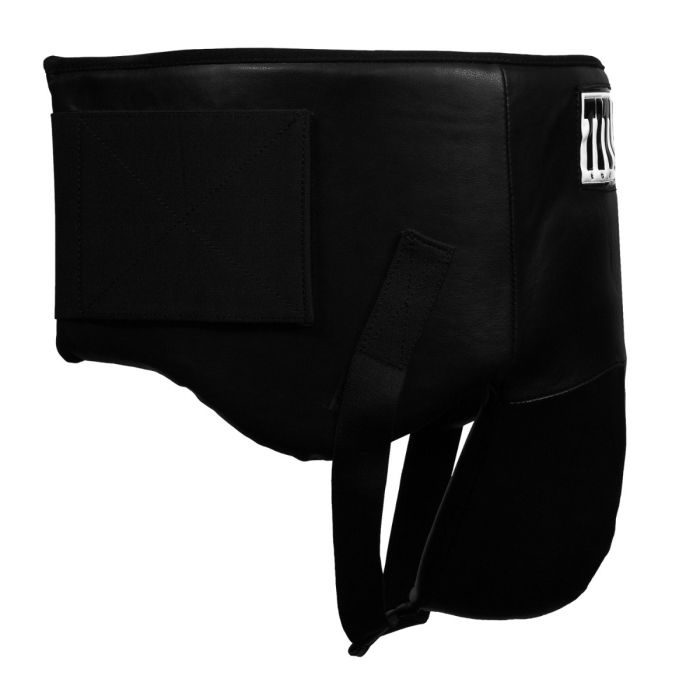 TITLE Classic Deluxe Groin Protector Plus 2.0